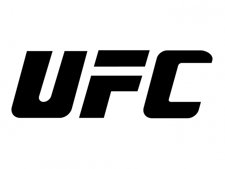 НМГ и «Ростелеком» купили права на показ турниров UFC в России