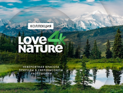 В Okko появится контент Love Nature 4K