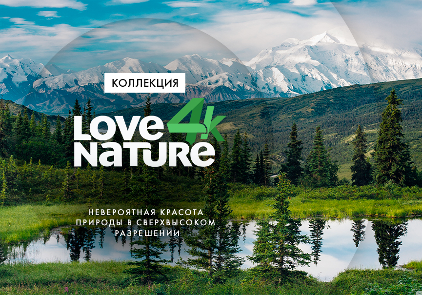 В Okko появится контент Love Nature 4K
