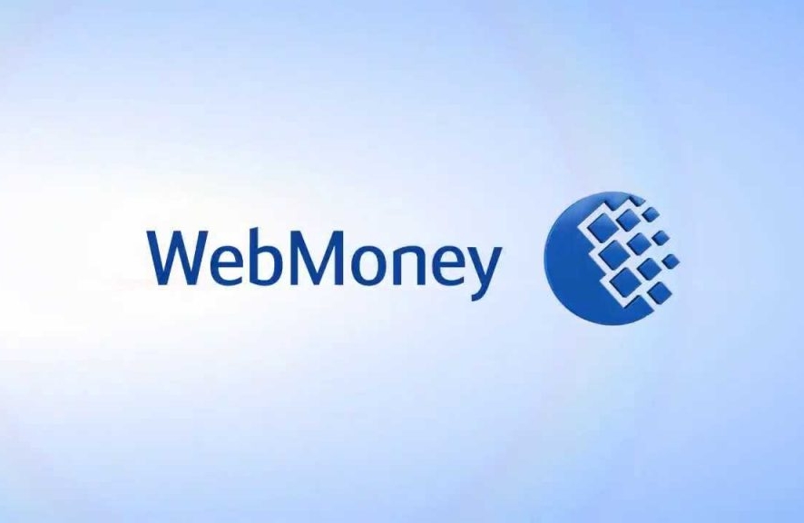 WebMoney запустила удалённую проверку личности клиентов по видео